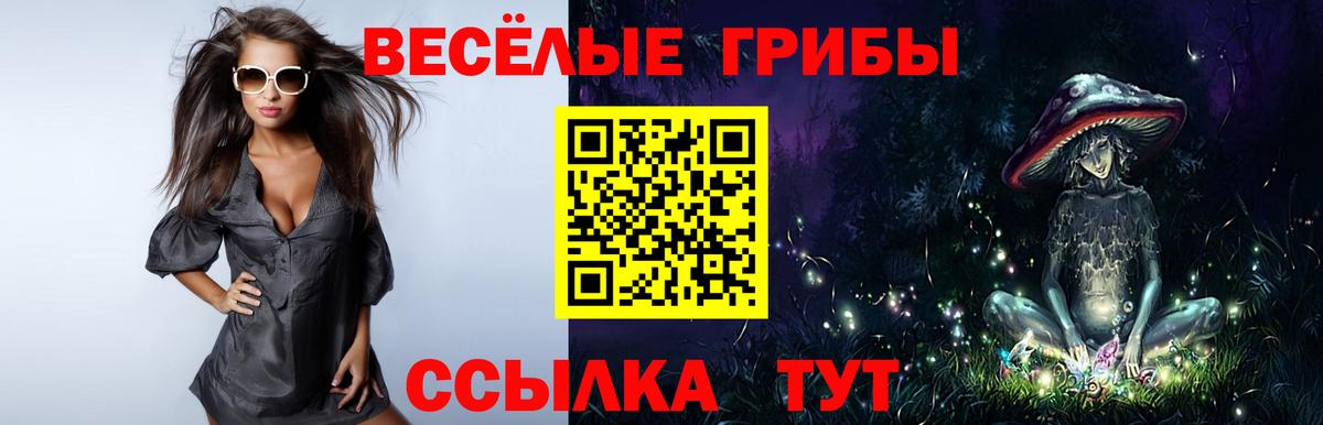Гудермес  Псилоцибиновые грибы Psilocybine cubensis  Вход с VPN 